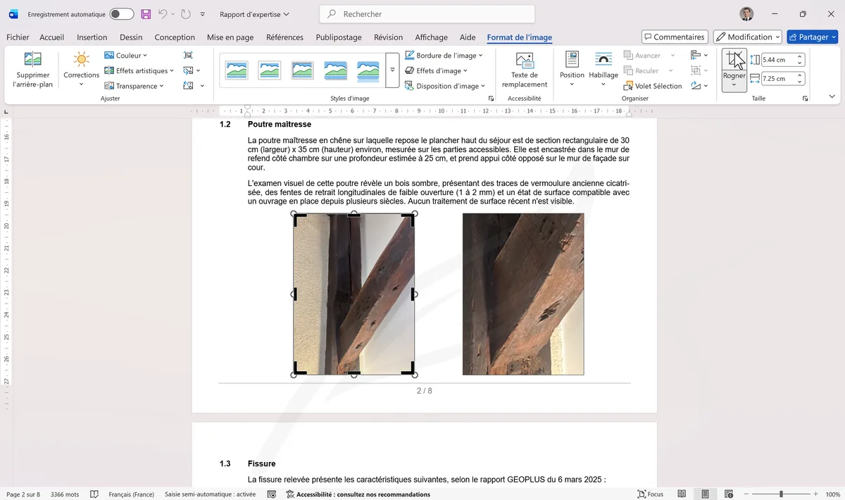 Photo en mode rognage avec les poignées noires