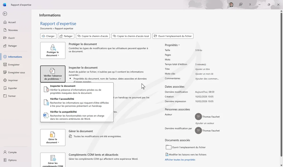 Menu Vérifier la présence de problèmes